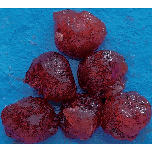 Pro-Cure Salmon Roe