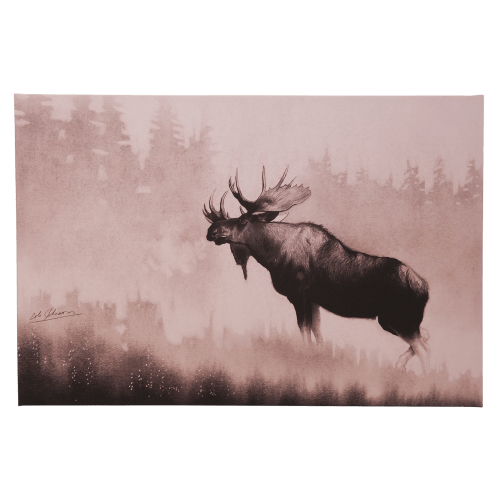 Open Road Brands Moose Canvas Wall Art by Cole Johnson