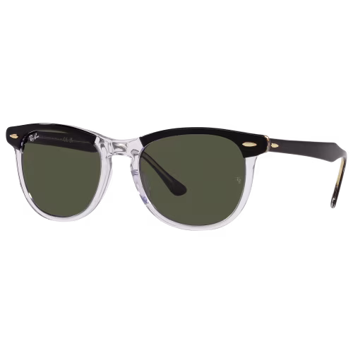 Ray-Ban Eagle Eye RB2398 Glass Sunglasses