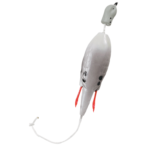 Dokken Dead Fowl Trainer Dove
