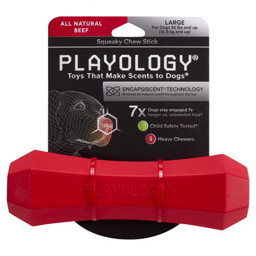 Playology Beef Squeaky Chew Stick for Dogs
