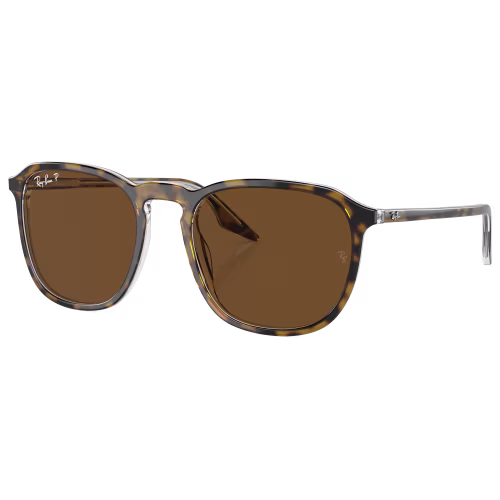 Ray-Ban RB2203 Glass Polarized Sunglasses