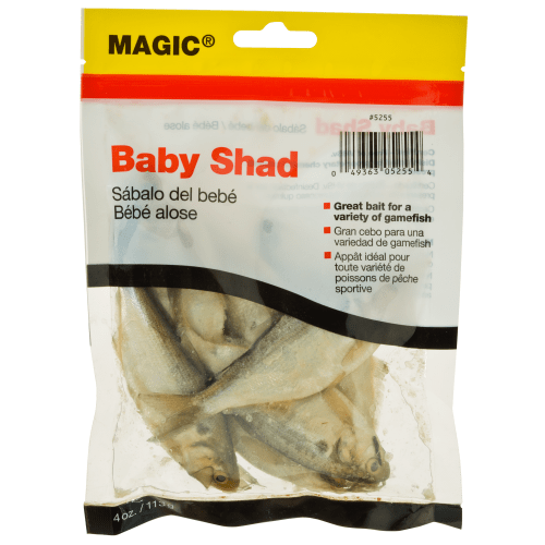Magic Preserved Baby Shad Bait