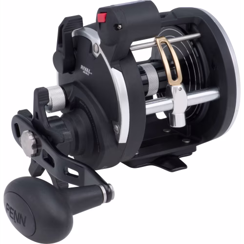 Penn Rival Levelwind Line Counter Reel