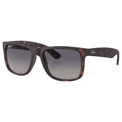 Ray-Ban Justin RB4165 Gradient Polarized Sunglasses