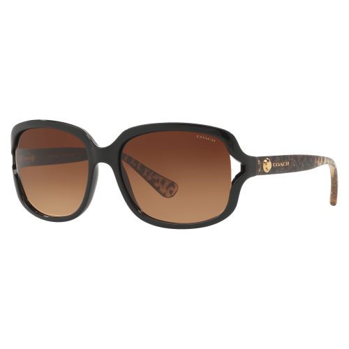 Coach HC8169 Sunglasses for Ladies