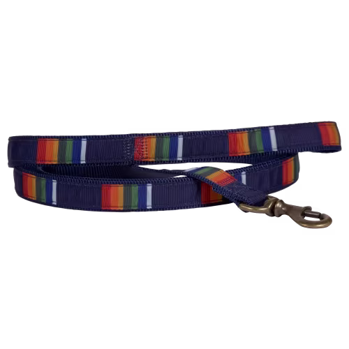 Pendleton National Park Collection Hiker Dog Leash