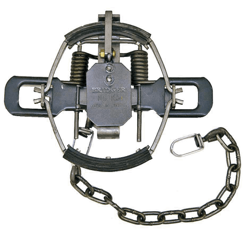 Bridger #1.65 Fox Rubber-Jaw Coil-Spring Trap