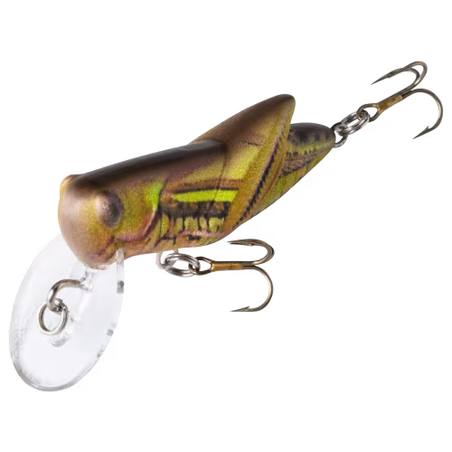 Rebel Crickhopper