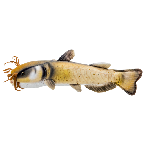 Bass Pro Shops Plush Stuffed Catfish