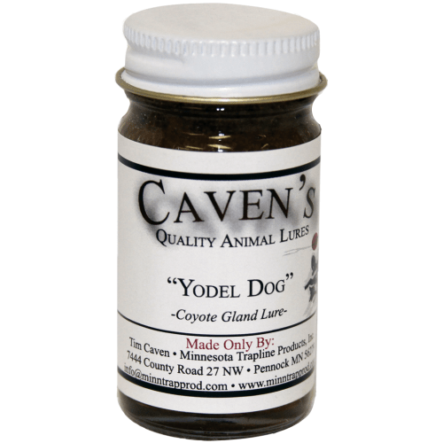 Caven's Yodel Dog Coyote Gland Trapping Lure