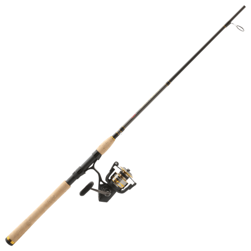PENN Battle IV Inshore Spinning Combo