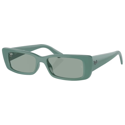 Ray-Ban Teru Bio-Based RB4425 Sunglasses