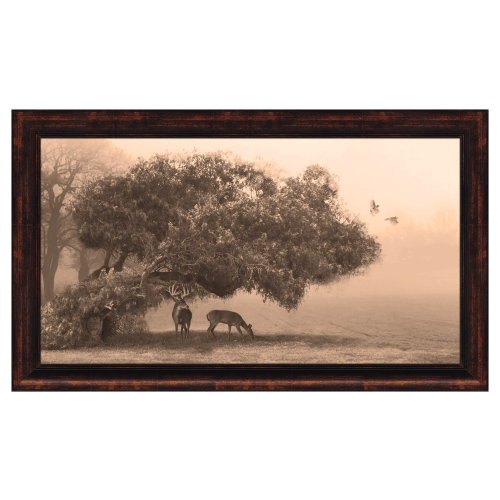 Autumn Meadow Personalized Framed Artwork by Scott Kennedy