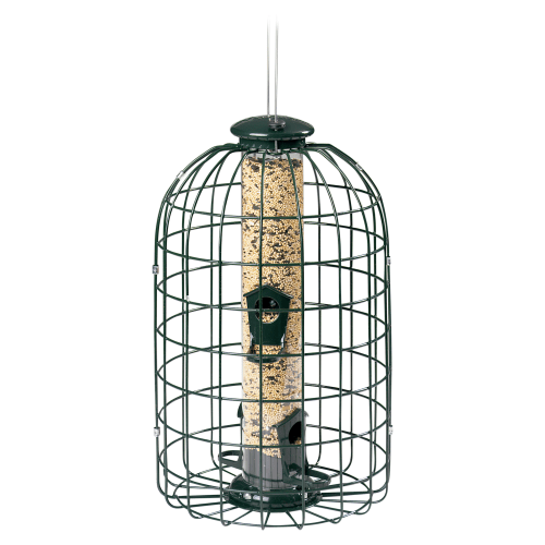 Audubon Squirrel-Proof Bird Feeder