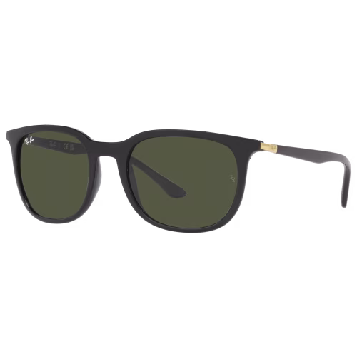 Ray-Ban RB4386 Glass Sunglasses
