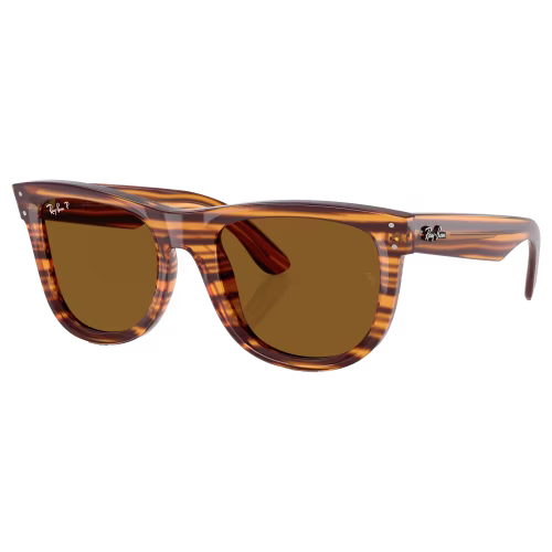 Ray-Ban Wayfarer Reverse RBR0502S Sunglasses