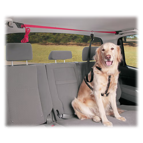 PetSafe Happy Ride PupZip Dog Vehicle Zipline