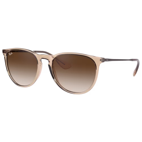 Ray-Ban Erika Color Mix RB4171 Gradient Sunglasses for Ladies