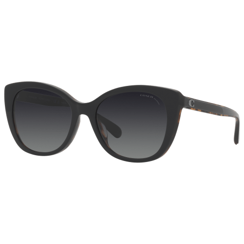 Coach HC8365U Polarized Sunglasses for Ladies