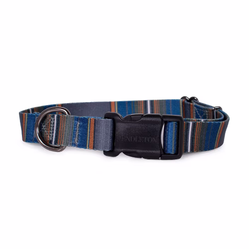 Pendleton Pet Olympic National Park Dog Collar