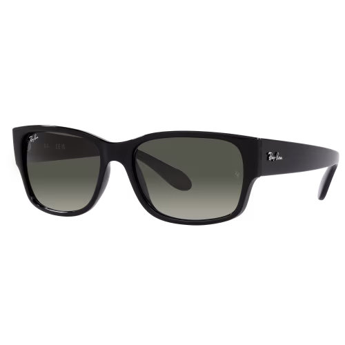 Ray-Ban RB4388 Gradient Glass Sunglasses