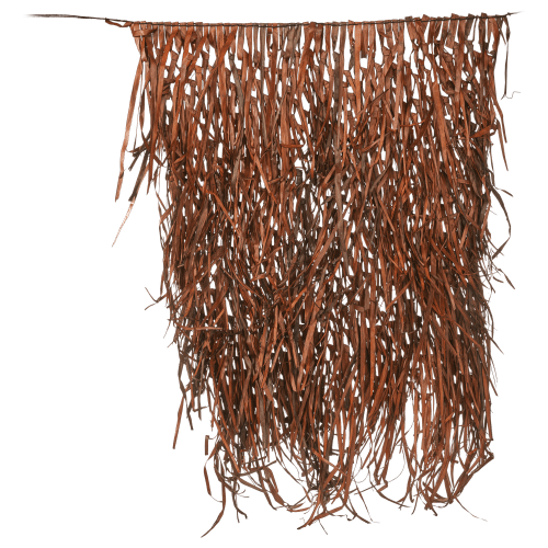 Northern Flight Field Grass