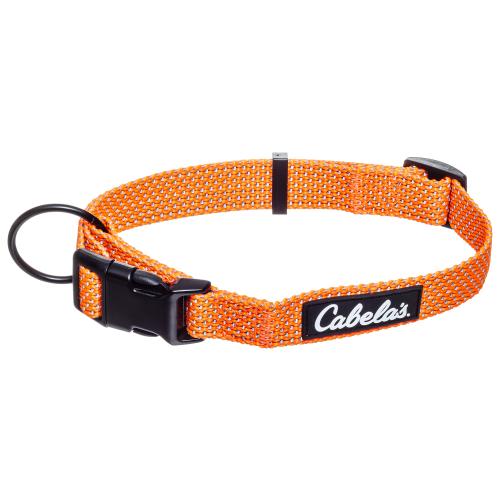 Cabela's High Visibility Dog Collar