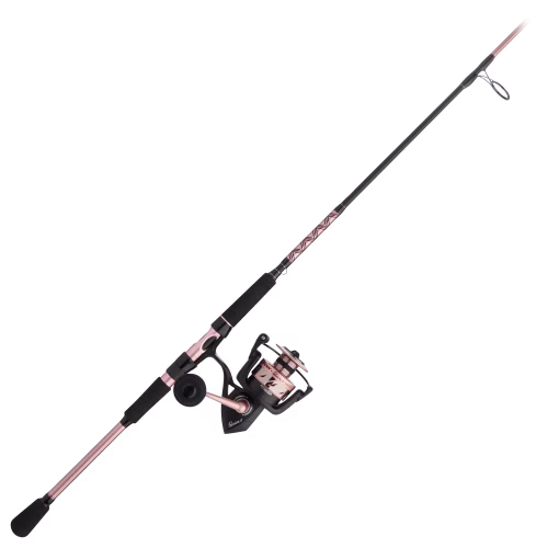 PENN Passion II Spinning Combo
