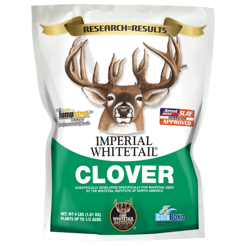 Imperial Whitetail Clover Wild Game Seed