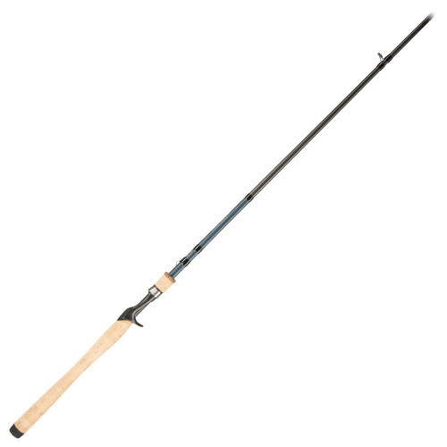 Bass Pro Shops Fish Eagle Casting Rod