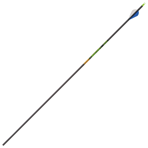 Gold Tip Hunter XT Arrows