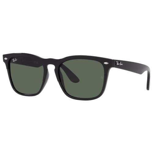 Ray-Ban Steve RB4487 Classic Sunglasses