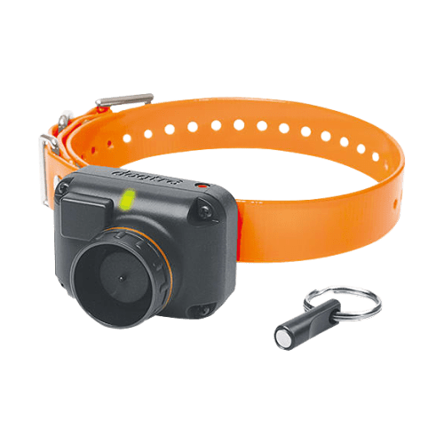 Dogtra STB Beeper E-Collar Training System
