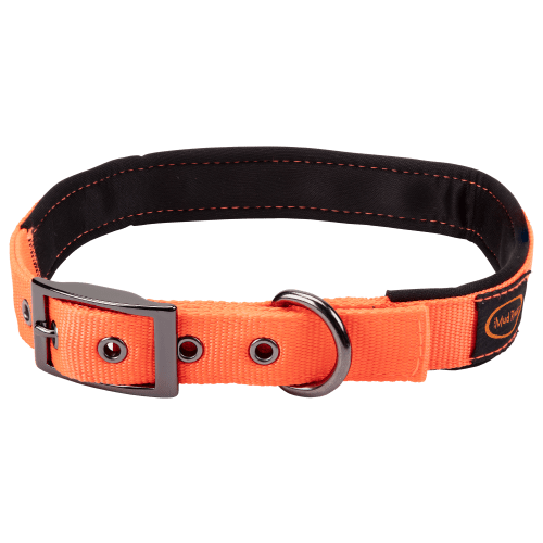 Mud River Swagger Dog Collar