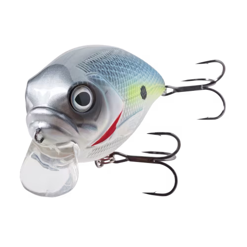 New! Bass Pro Shops XPS The Egg Crankbait