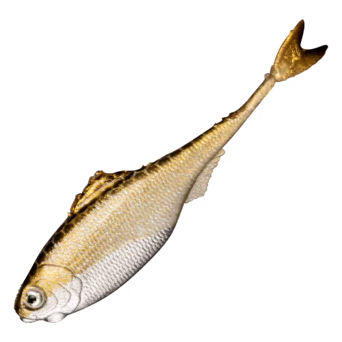 New! 6th Sense Fishing Fiction Shad