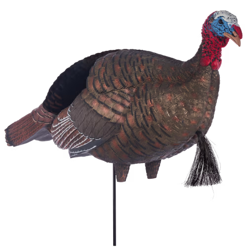 New! Cabela's Pro Jake Turkey Decoy