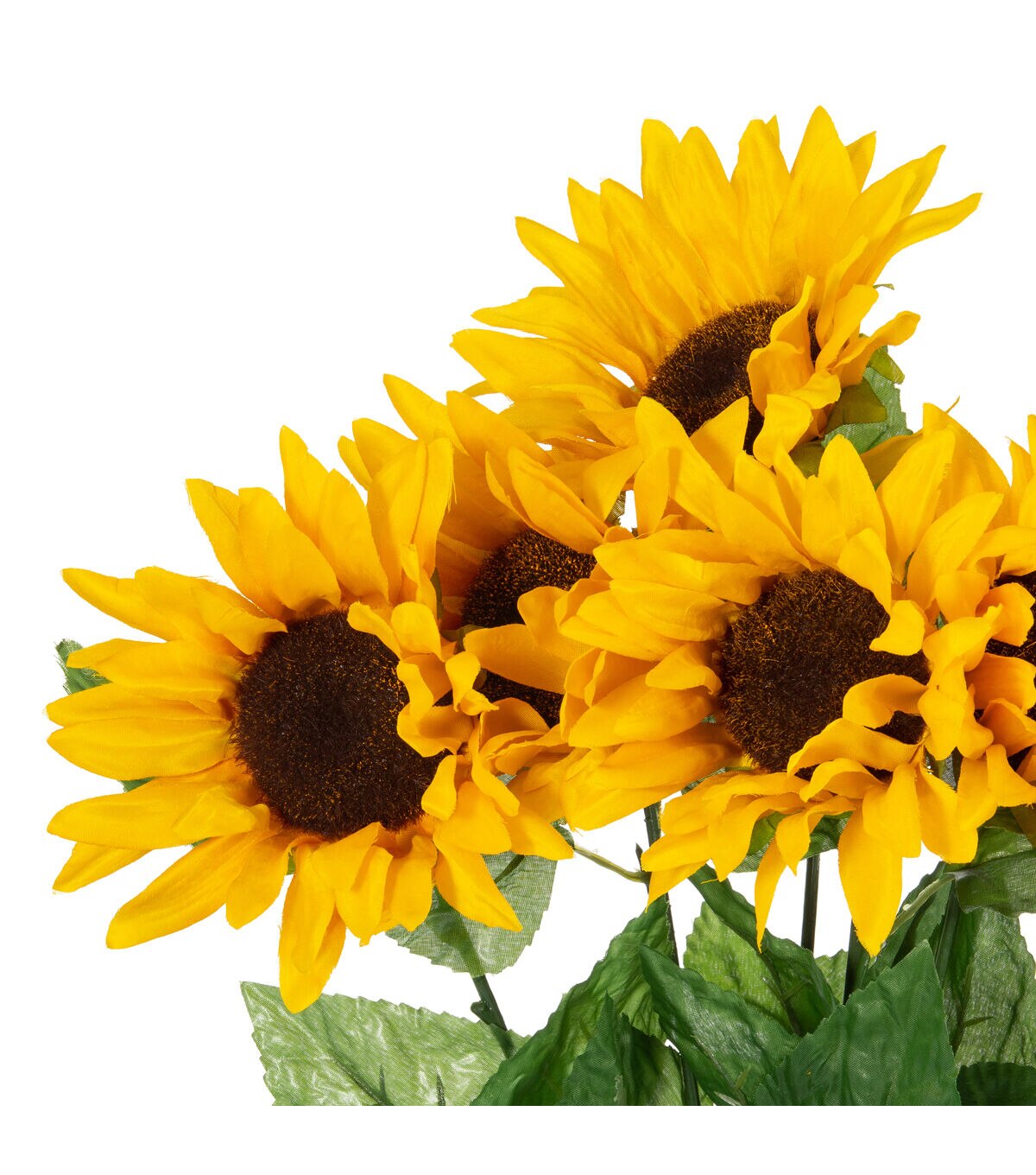 20 Yellow Sunflower Bush by Bloom Room