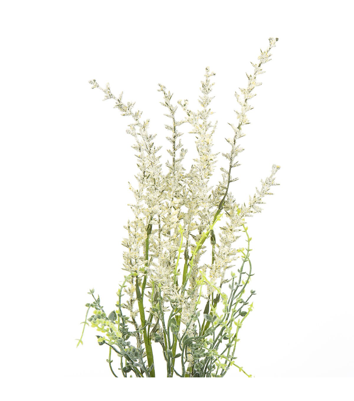 22 Cream Lavender Bush by Bloom Room