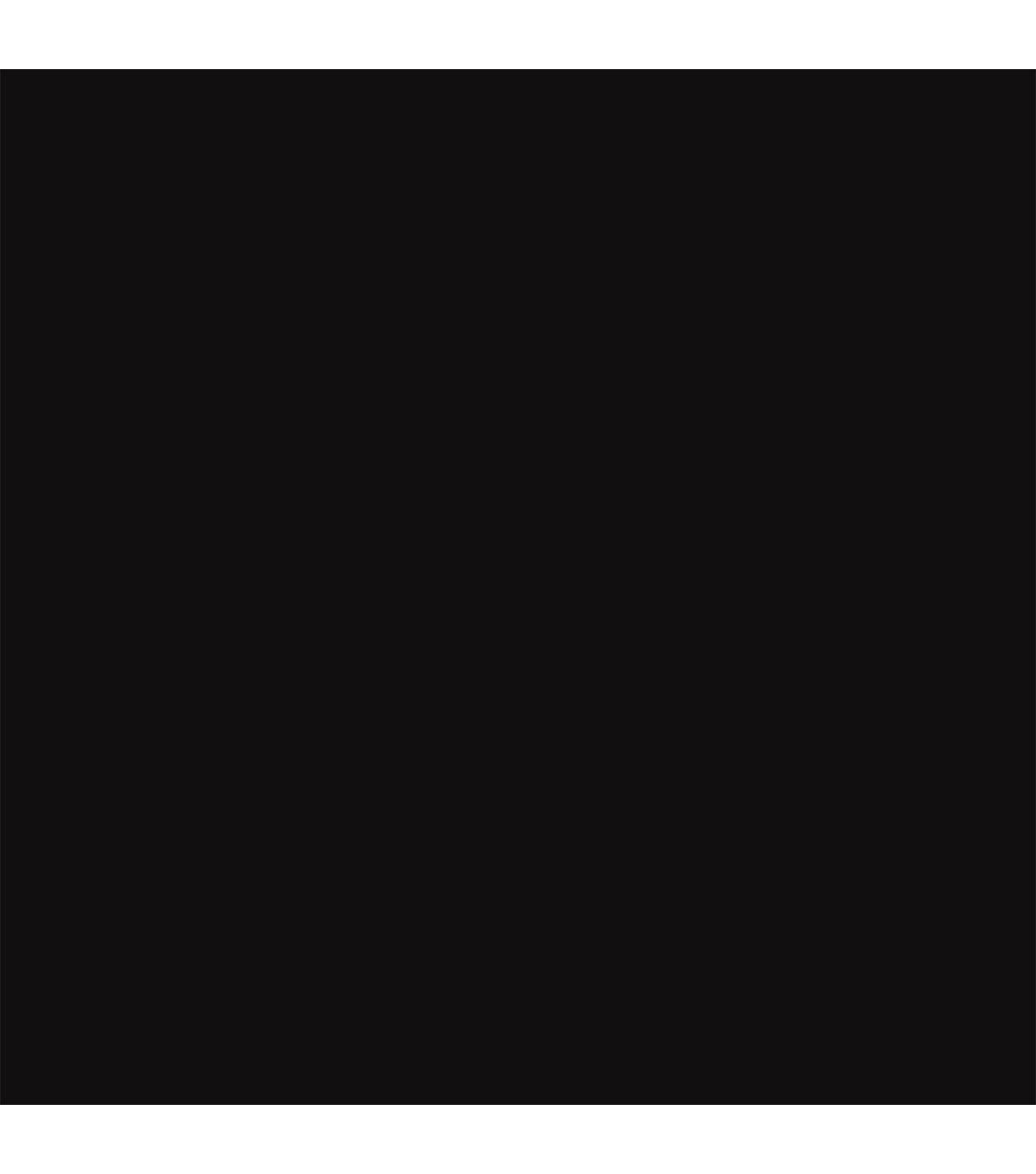 Cricut 12 x 12 Black Botanicals Infusible Ink Transfer Sheets 2ct