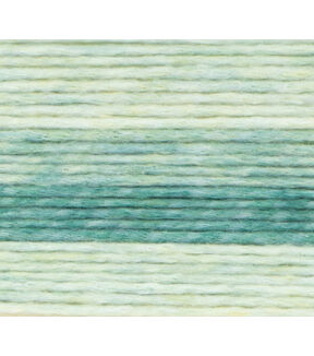 Lion Brand Landscapes Renewed 260yds Worsted Polyester Yarn