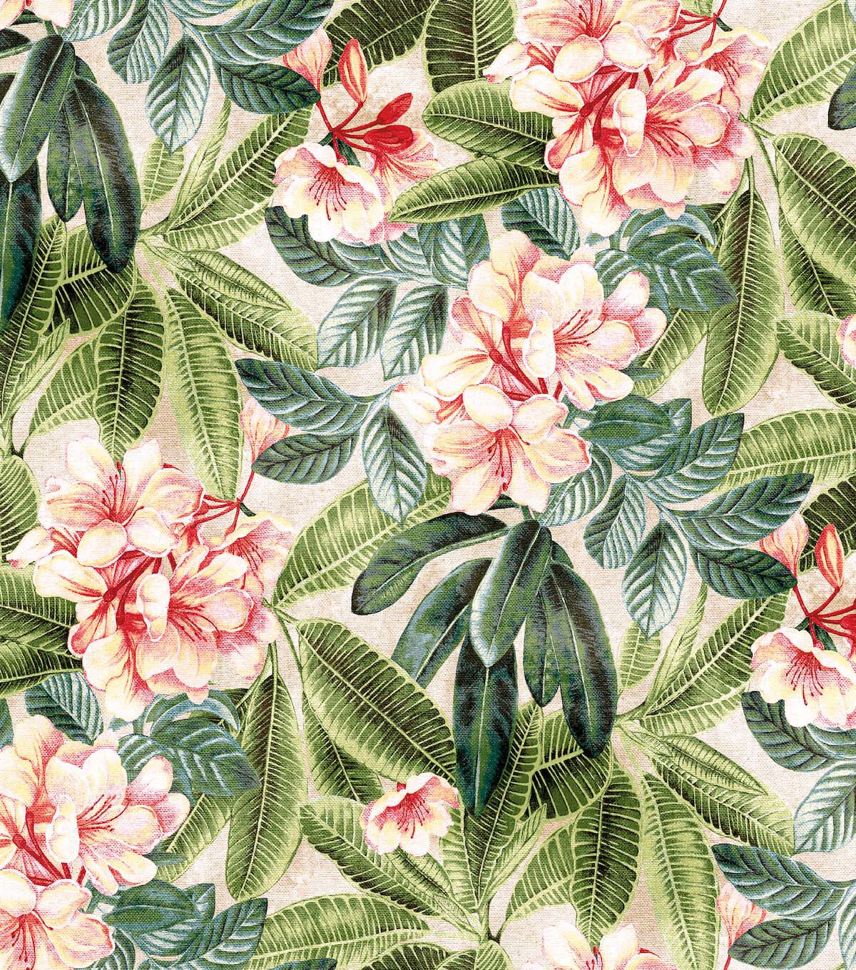 Tommy Bahama 20.5' x 18' Shell Darwin Flora Peel & Stick Wallpaper