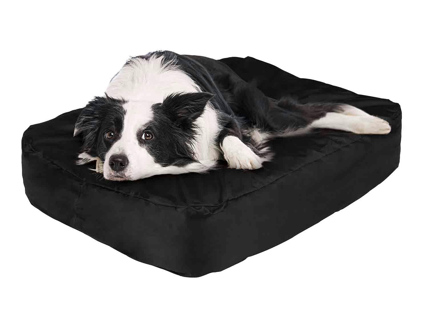 Cama inflable para perro