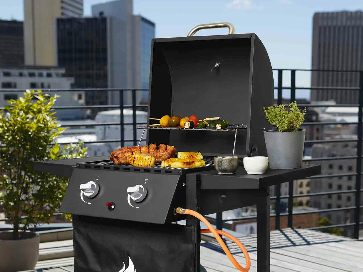 Barbacoa de gas 2 quemadores