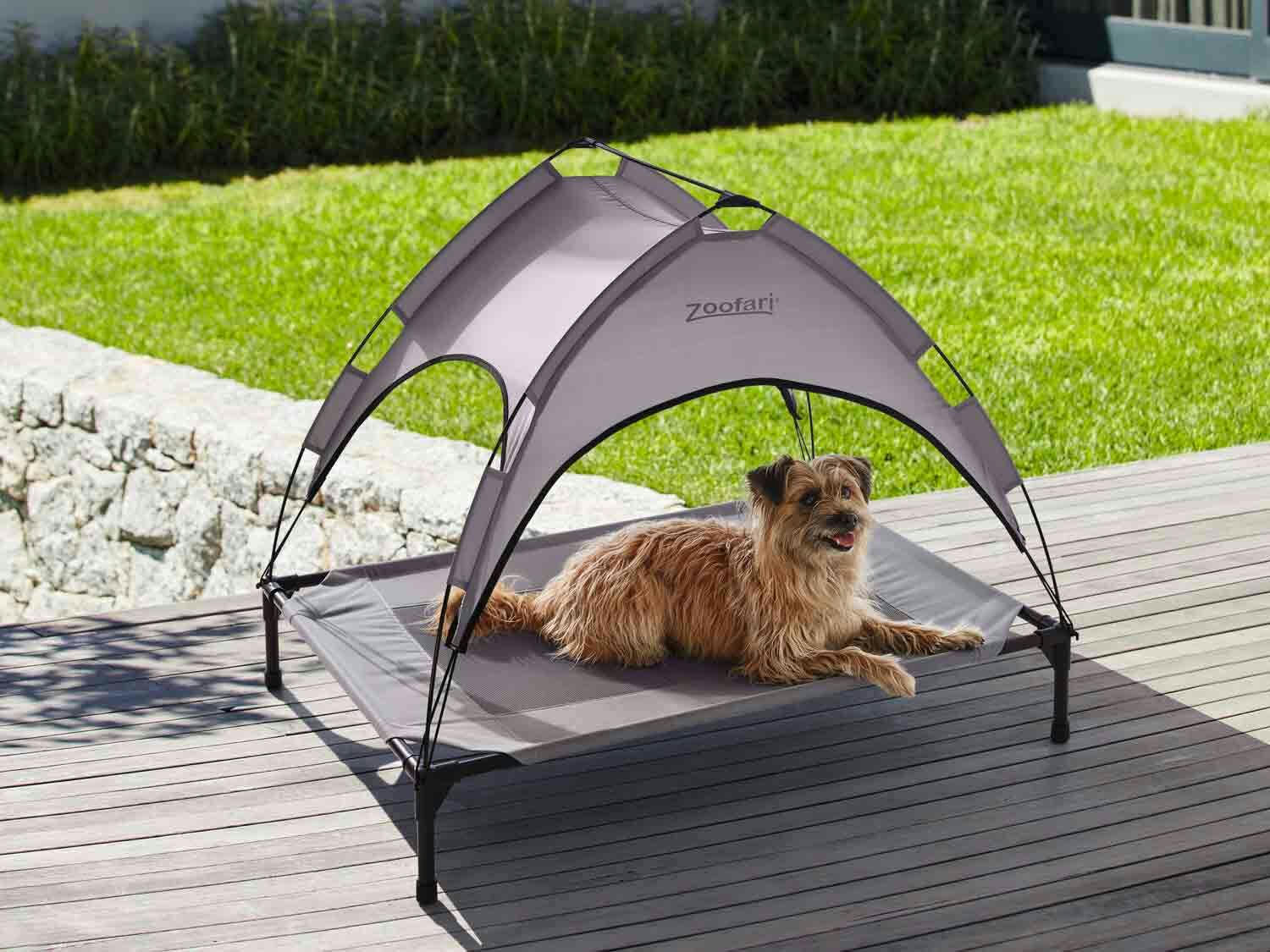Cama con parasol para perro