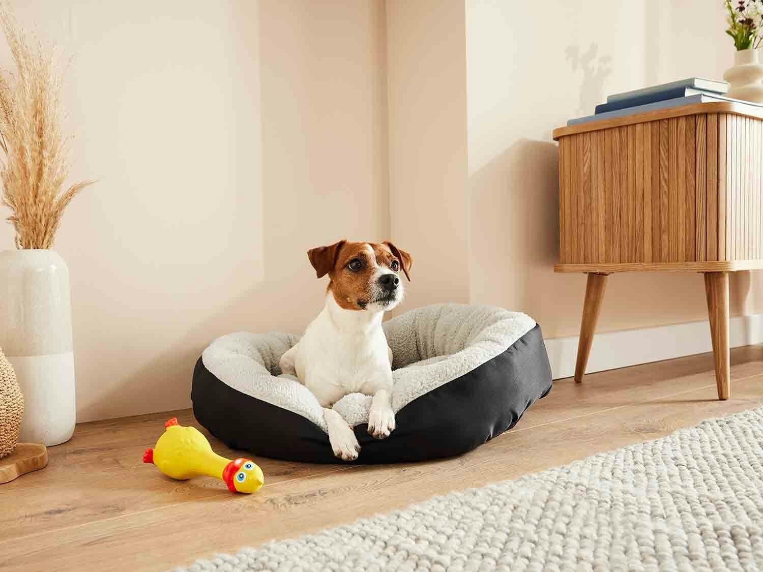 Cama para mascotas