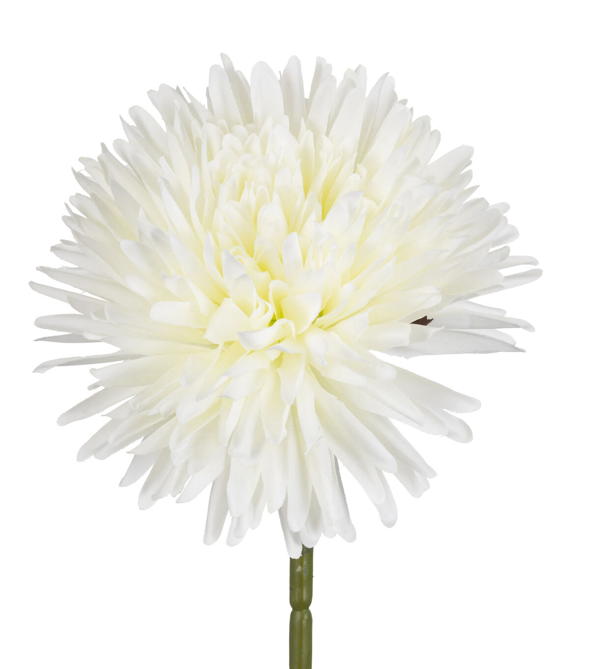 27 White Dandelion Stem by Bloom Room