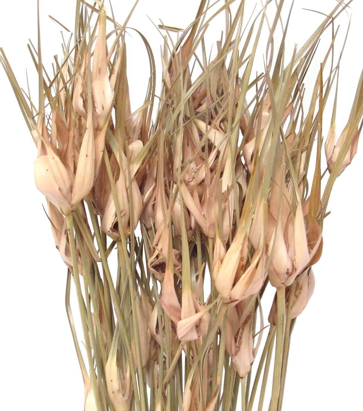 28 Mauve Dried Star Grass Bouquet by Bloom Room
