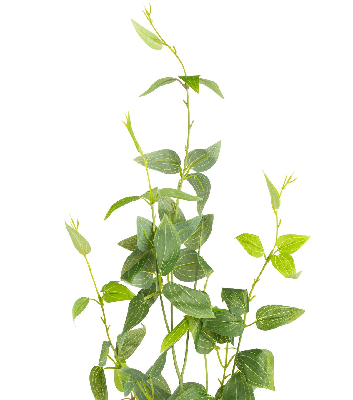 38 Clematis Leaf Stem by Bloom Room